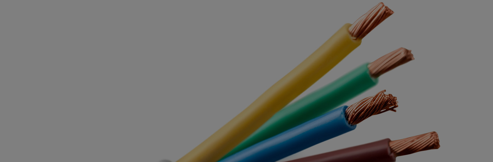 Gallery page header